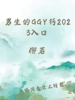 男生的GGY钙2023入口