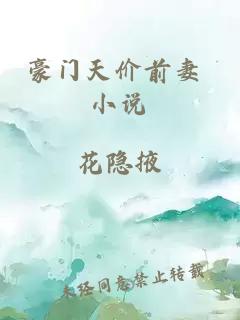 豪门天价前妻 小说