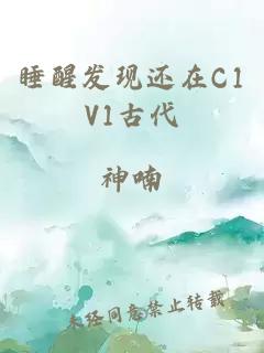 睡醒发现还在C1V1古代