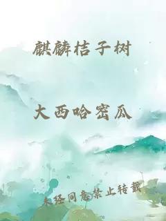 麒麟桔子树