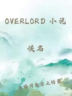 OVERLORD 小说