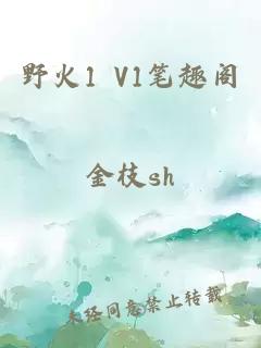 野火1 V1笔趣阁