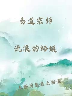 易道宗师