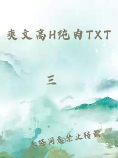 爽文高H纯肉TXT