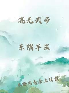 混元武帝