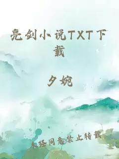 亮剑小说TXT下载