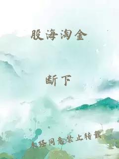 股海淘金