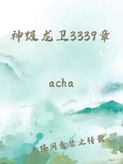 神级龙卫3339章