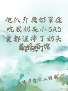 他扒开我奶罩揉吮我奶头小SAO货都湿掉了奶头都硬了