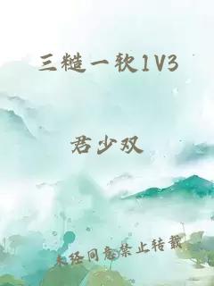 三糙一软1V3