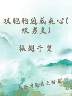 双胞胎通感夹心(双男主)