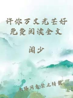 许你万丈光芒好免费阅读全文