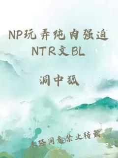 NP玩弄纯肉强迫NTR文BL