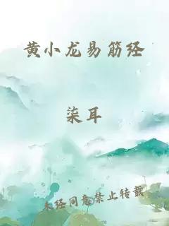 黄小龙易筋经