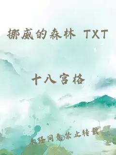 挪威的森林 TXT