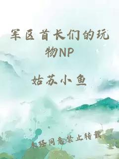 军区首长们的玩物NP