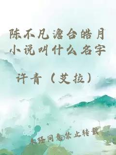 陈不凡澹台皓月小说叫什么名字