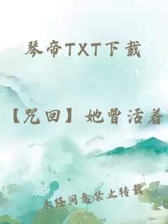 琴帝TXT下载