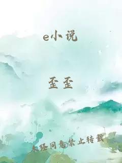 e小说