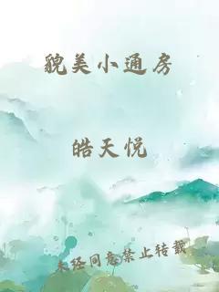 貌美小通房