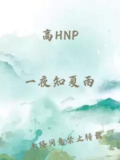 高HNP