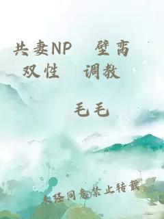 共妻NP╱壁脔╱双性╱调教╱