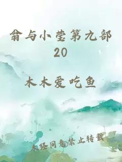 翁与小莹第九部20