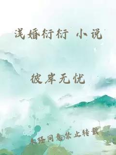 浅婚衍衍 小说