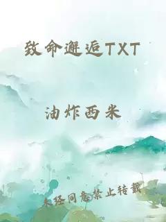 致命邂逅TXT