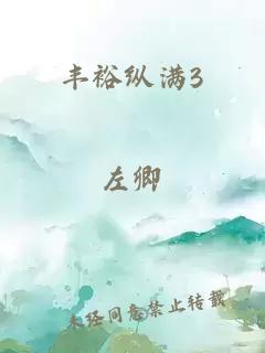 丰裕纵满3