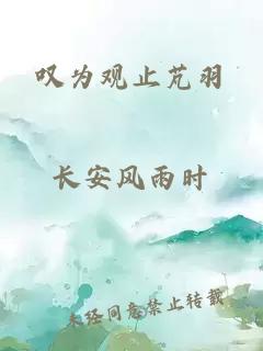 叹为观止芃羽