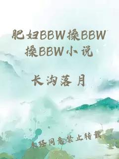 肥妇BBW搡BBW搡BBW小说