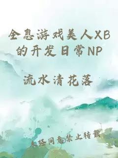 全息游戏美人XB的开发日常NP