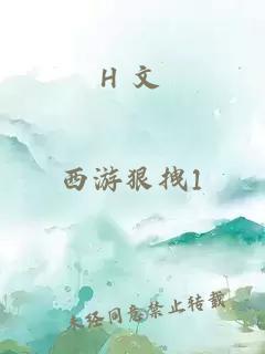 H 文