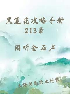 黑莲花攻略手册213章