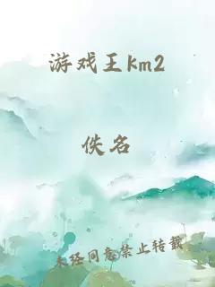 游戏王km2