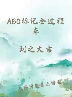 ABO标记全过程车