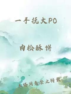 一手抚大PO