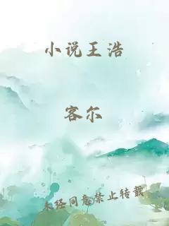 小说王浩