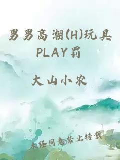 男男高潮(H)玩具PLAY罚