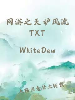 网游之天妒风流TXT