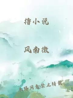 撸小说