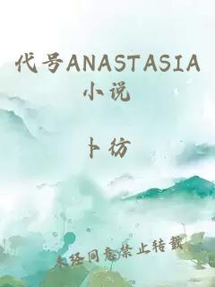 代号ANASTASIA小说