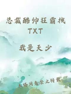 总裁酷帅狂霸拽TXT