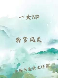 一女NP