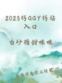 2023钙GGY钙站入口