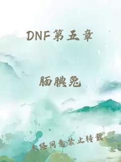 DNF第五章