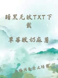 暗黑无敌TXT下载