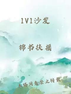 1V1沙发