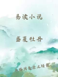 易读小说